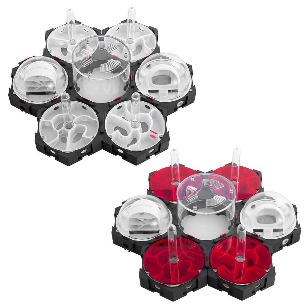 Druk 3D Gniazdo mrówek Nieskoń – Begonia Rex recenzja i cena
