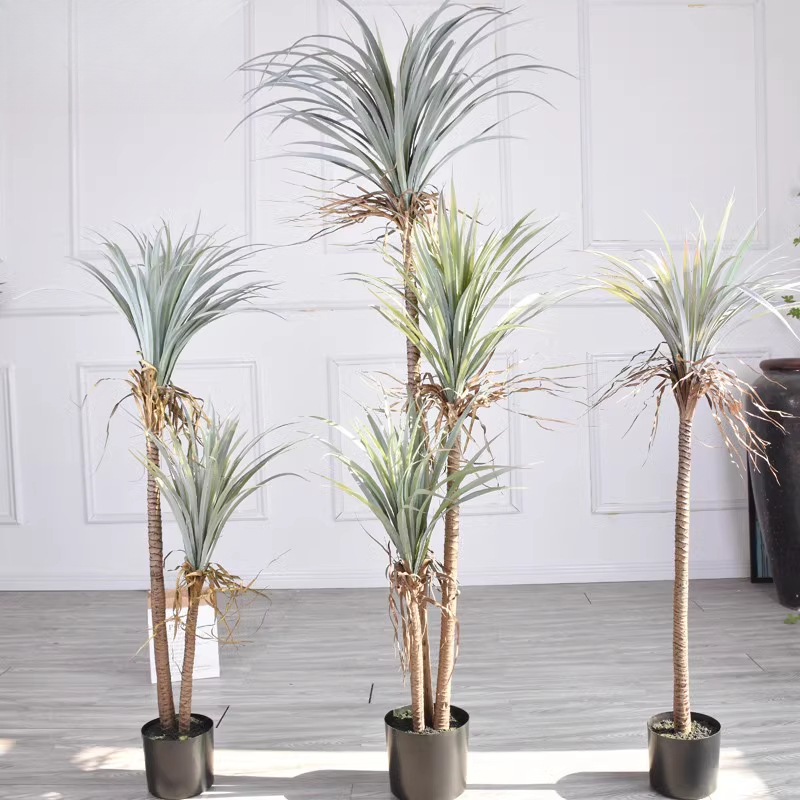Dragon Blood Yucca Sztuczna ro – Dracaena Marginata recenzja i cena
