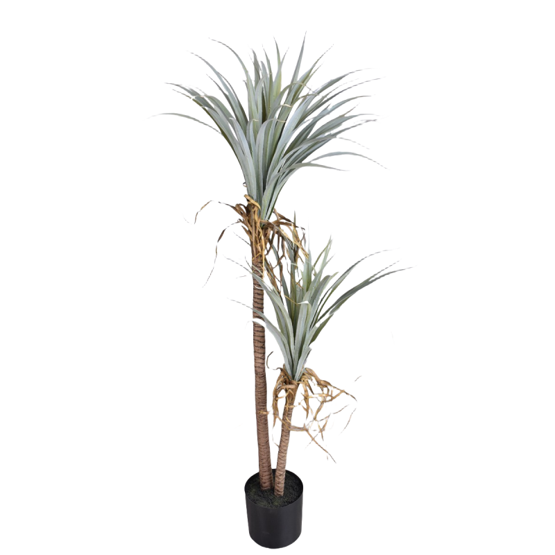 Dragon Blood Yucca Sztuczna ro – Dracaena Marginata recenzja i cena