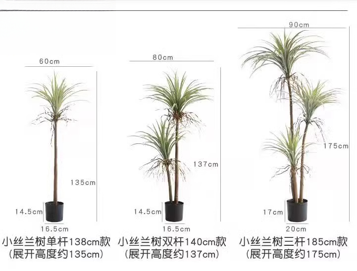 Dragon Blood Yucca Sztuczna ro – Dracaena Marginata recenzja i cena