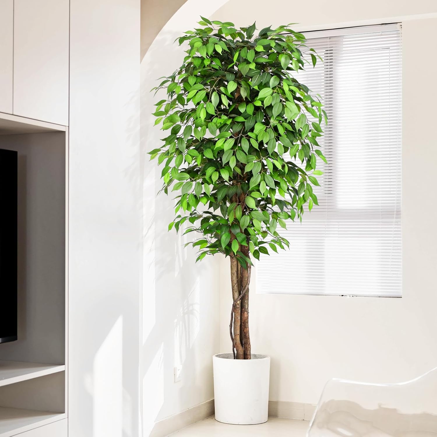 Realistyczny sztuczny drzewko  – Monstera Adansonii recenzja i cena