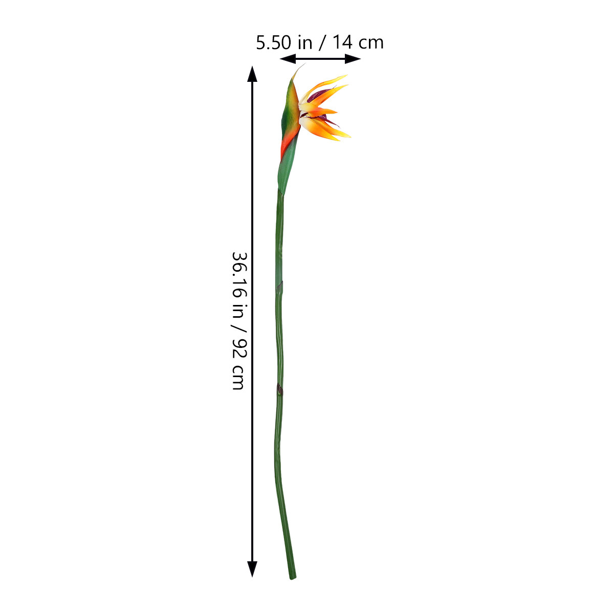 Sztuczny ptak rajski (strelitc – Bird Paradise Strelitzia recenzja i cena