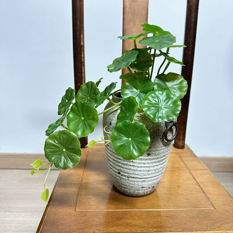 2 szt. Sztuczna Pilea Peperomi – Pilea Peperomioides recenzja i cena