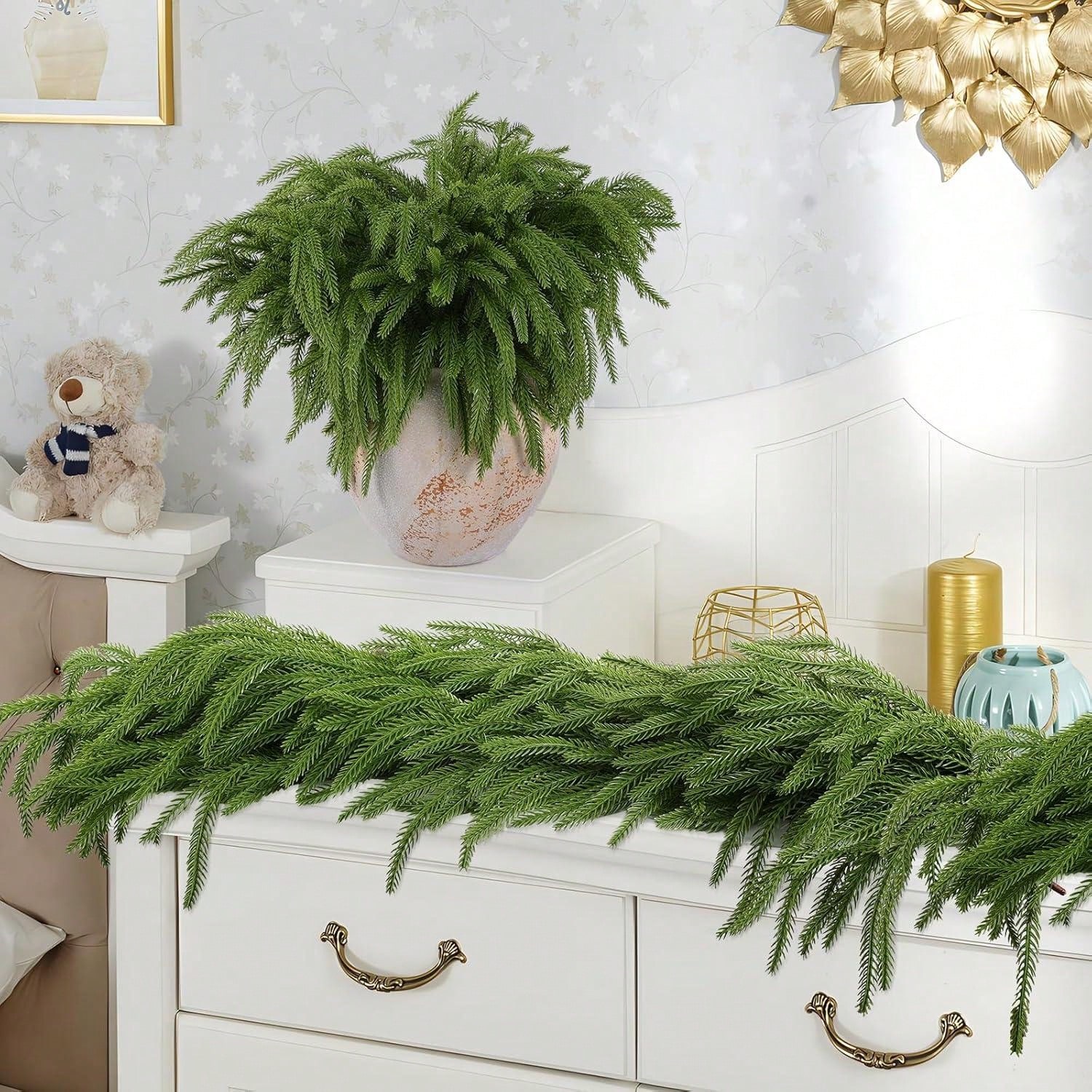 Boże Narodzenie Norfolk Gałęzi – Dracaena Marginata recenzja i cena