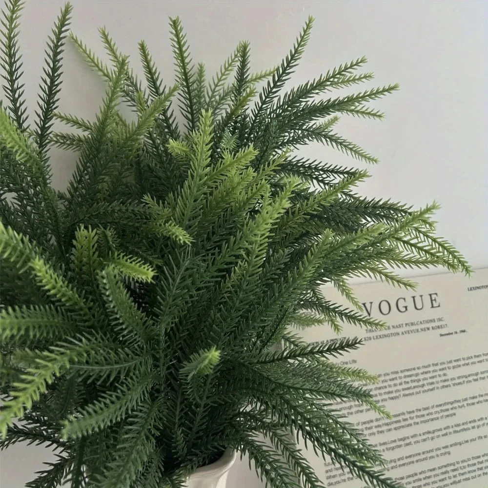 Boże Narodzenie Norfolk Gałęzi – Dracaena Marginata recenzja i cena