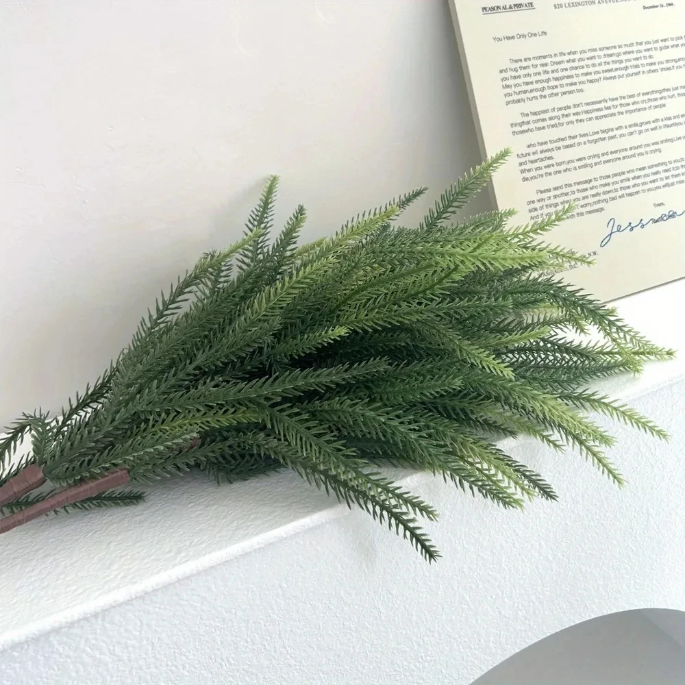 Boże Narodzenie Norfolk Gałęzi – Dracaena Marginata recenzja i cena