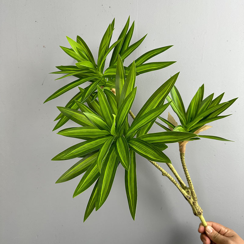 Sztuczne rośliny, 3 główki lil – Dracaena Marginata recenzja i cena